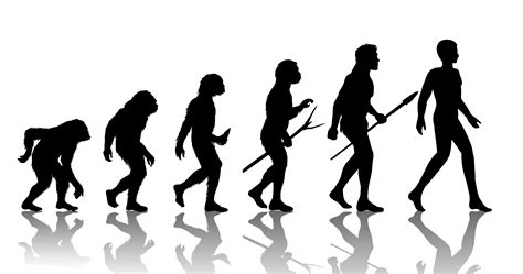 Memahami Darwinisme Teori Evolusi Kuliahdimana Id