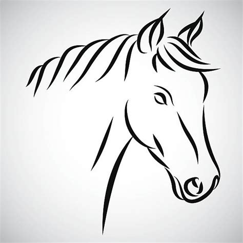 Best Horse Head Vector Illustrations Royalty Free Vector Graphics