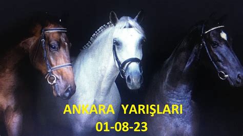 Ankara Altili Ganyan Tahm Nler A Ustos Youtube
