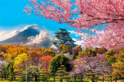 Viajes A Japón Organizados Con Todo Incluido 2022 Qualia Viajes