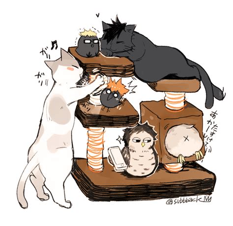 Haikyuu Cats Little Crows And Owls Xd Memes De Anime