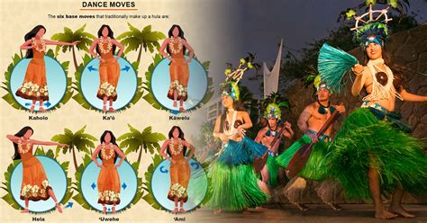 Even native speakers only use around 2.5% of the words in english. Demystifying Hula | Dance Moves, Music, Symbolism, Origin