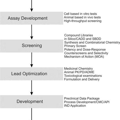 Typical Flowchart For Drug Discovery And Development CADD