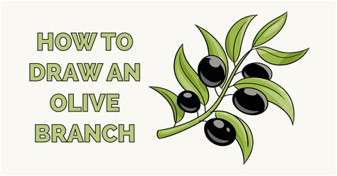 How To Draw An Olive Branch Really Easy Drawing Tutor