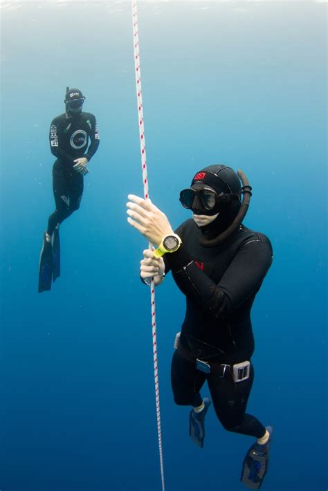 Freediving Instructors International Fii Freediving Education Agency
