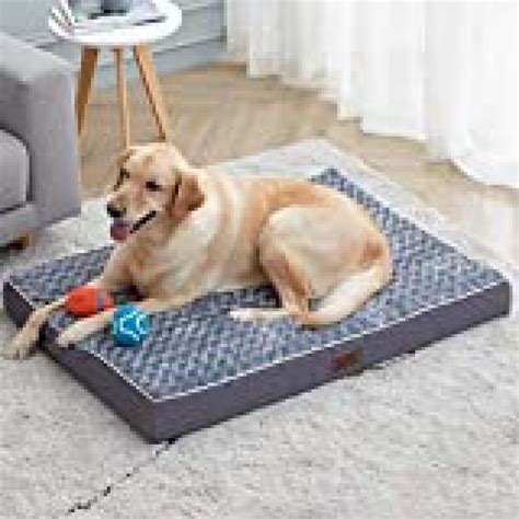 Orthopedic Memory Foam Dog Bed For Small Medium Large Jumbo Dogs