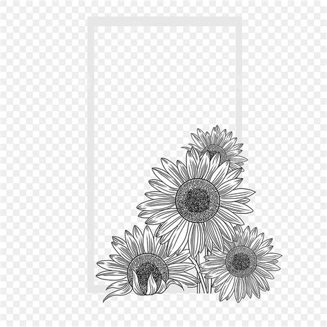 Sunflower Lineart White Transparent Sunflower Line Art Black And White