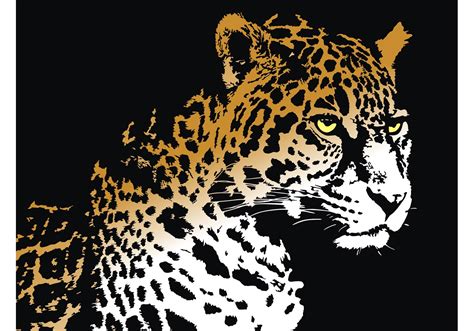 Vector Panther Download Free Vector Art Stock Graphics And Images