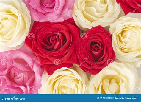 Top Closeup View Of A Group Of Red White And Pink Roses Stock Photo