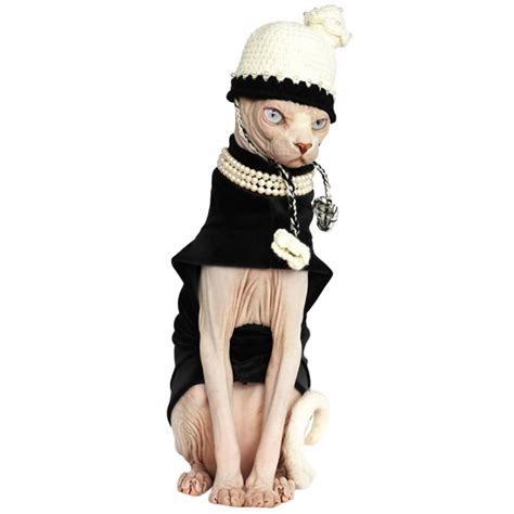 Halloween Outfits For Sphynx A Must Have Halloween Costume For Cats