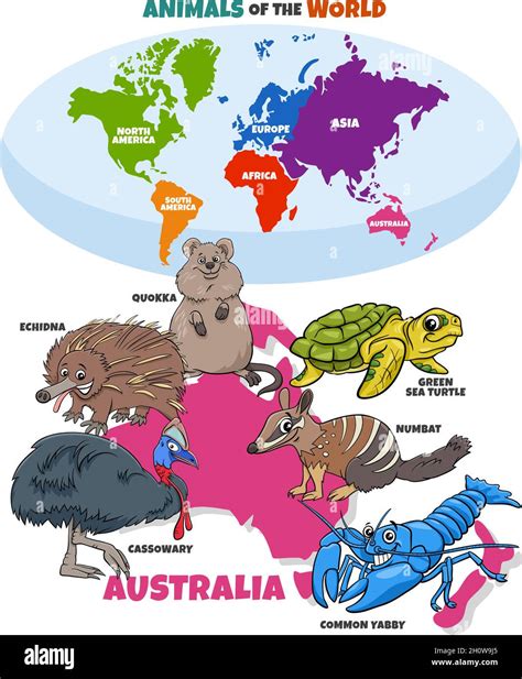 Ilustración De Dibujos Animados Educativos De Especies Animales Típicas