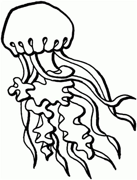 You can download and print this cartoon jellyfish coloring pages,then color it with your kids or share with your friends. Jellyfish - Free Printable Coloring Pages