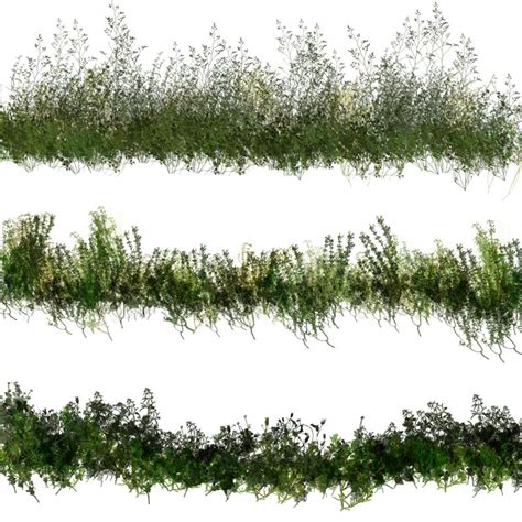 Photoshop Brushes Of Dynamic Vegetation D Models D Graphics Designfera