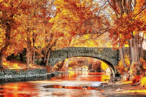 Autumn Bridge And Trees Wallpapers Wallpaper Cave