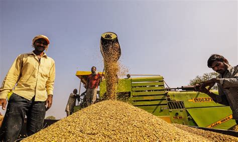 How Promising Is The Food Processing Industry For Indian Agriculture