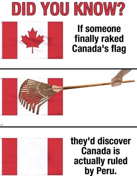 todays 12 most hilarious memes oh canada read it most hilarious memes canada funny canada