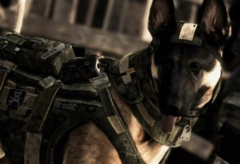 Call Of Duty Ghosts Dog In 60fps Graphics Product Reviews Net