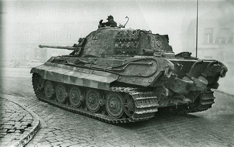 The Mighty Looking King Tiger R Tankporn