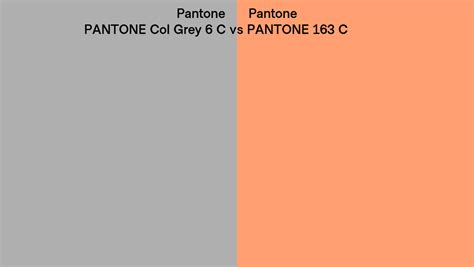 Pantone Col Grey 6 C Vs Pantone 163 C Side By Side Comparison