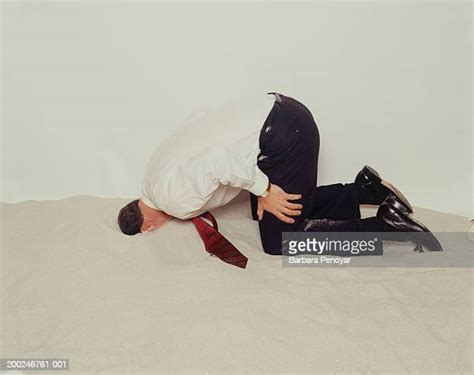 Bury Your Head In The Sand Photos And Premium High Res Pictures Getty