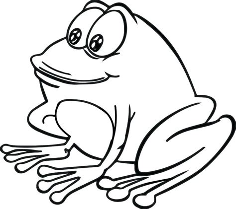 Red Eye Tree Frog Coloring Pages At Free Printable