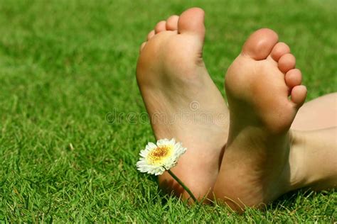 Feet And The Flower Stock Image Image Of Light Lawn 23674685