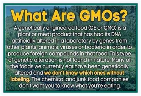 The Truth About Gmos And Why Companies Dont Want The Words Gmo On