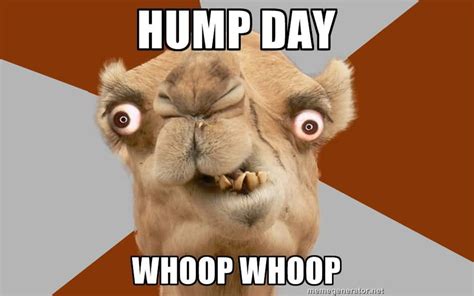 Happy Hump Day Meme 