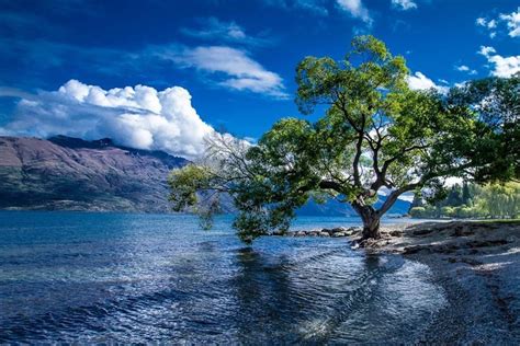 Lake Wakatipu Queenstown New Zealand Daring Planet Lake Wakatipu