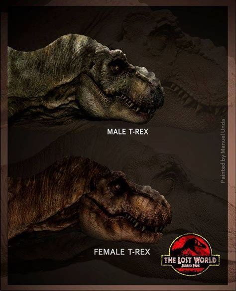 Jurassic Park The Lost World Male And Female T Rex Jurassic Park