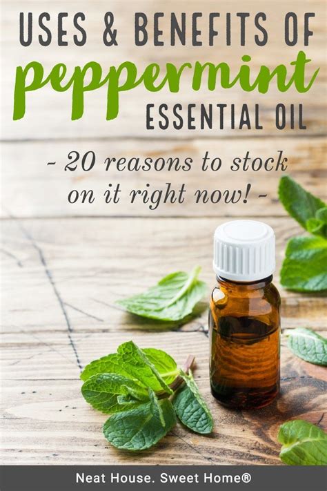 Peppermint Oil Is Very Versatile Use It To Deodorize Your Home And