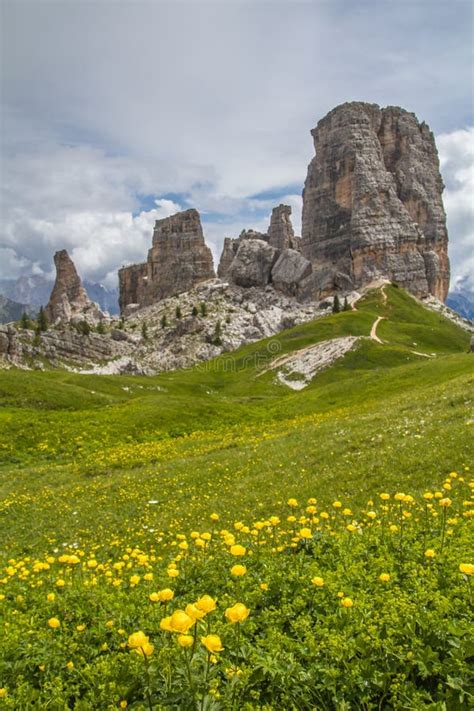 The Flowers Of The Dolomites Stock Image Image Of Adige Bolzano