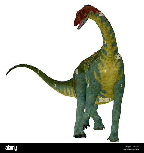 Jobaria Was A Herbivorous Sauropod Dinosaur That Lived In The Jurassic