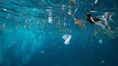 Solving The Plastic Problem Is More Than A Mandate