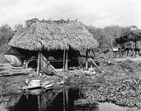 Florida Memory Seminole Indian Camp