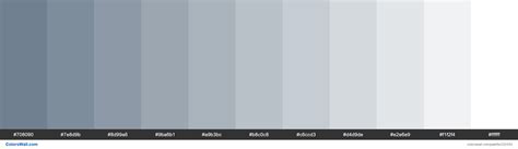 Slate Gray Colors Palette Colorswall