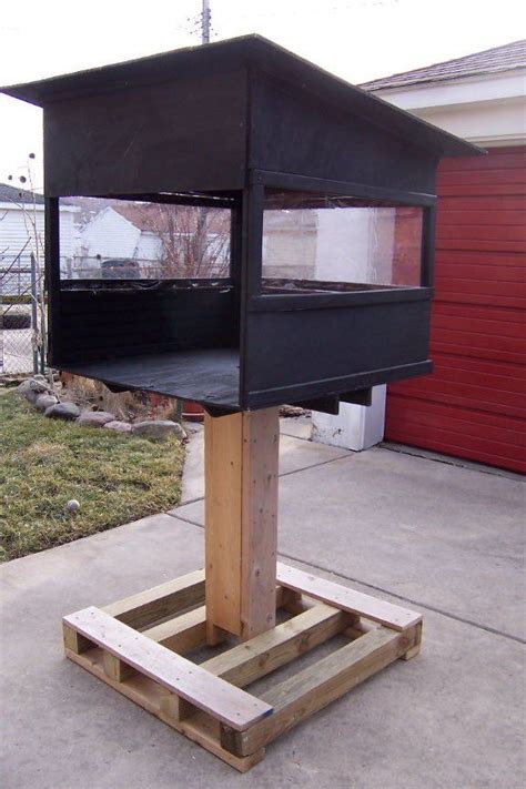 He needs to feed a cat and a dog in his house. Raccoon-proof cat feeder | Outdoor cat house, Cat feeding ...