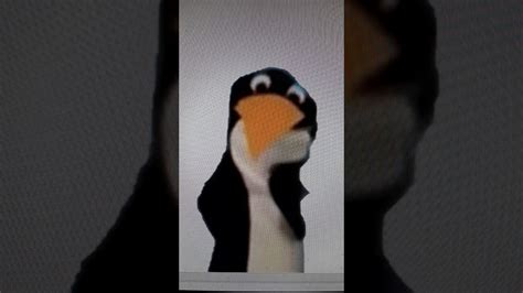 Baby Einstein Puppet Penguin Youtube