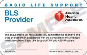 The integration of effective basic life support with advanced cardiovascular life support interventions; How to Become a Travel Nurse: Definitive Guide | Nursing Pub