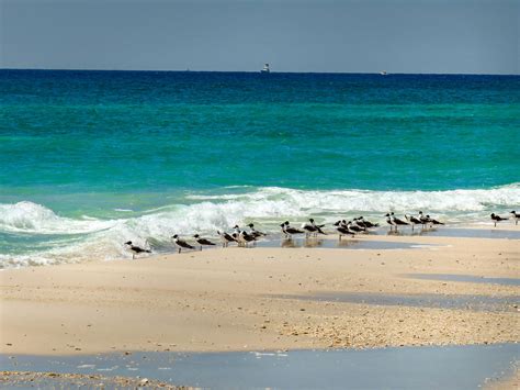 Free Stock Photo Of Beach Florida Pensacola