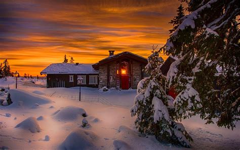 Winter Snow Cold Night House Lights Trees Wallpaper Travel And