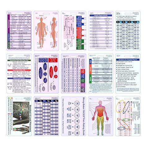 Comprehensive Vertical Badge Card Reference Set 25 Cards Nursing Tips