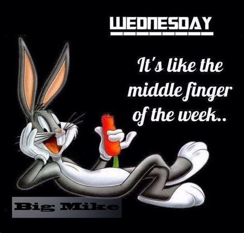 Wacky Wednesday Funny Wednesday Memes Happy Wednesday Quotes Good