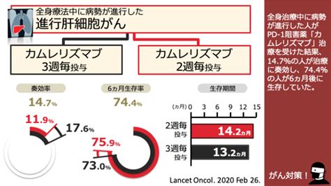 日本がん対策図鑑 【肝細胞がん：二次治療】「カムレリズマブ2週毎投与」vs「カムレリズマブ3週毎投与」