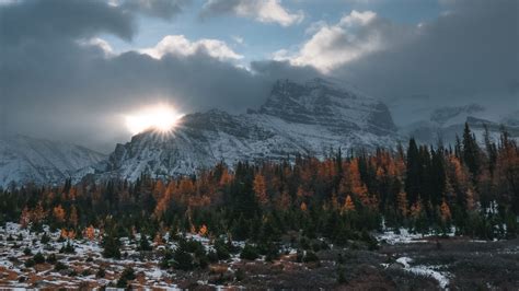 Download Wallpaper 1920x1080 Mountains Trees Clouds Sun