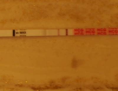If you get a positive. What a Positive Pregnancy Test Really Looks Like