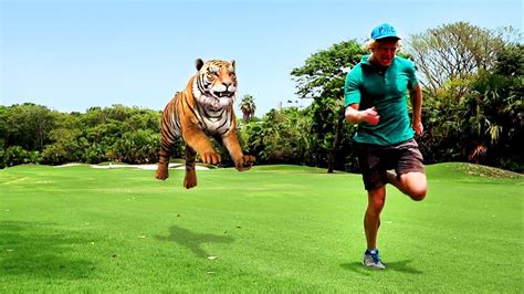 Chased By A Tiger In Mexico Youtube