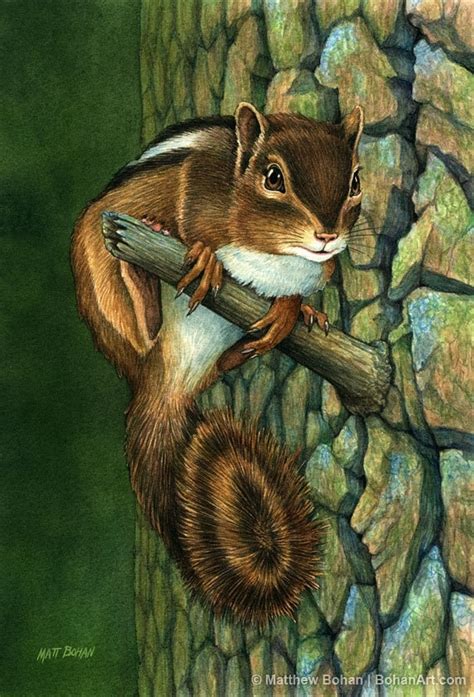 Pin By Holly Smith On Squirrels Animal Art Chipmunks Watercolor Animals