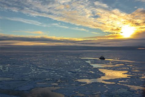 The New Arctic Thinning Ice Is Changing Ecosystem Live Science