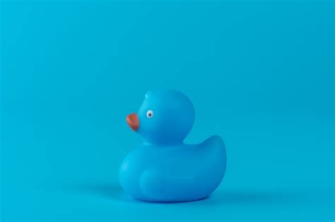 Premium Photo Blue Rubber Duck On Blue Background